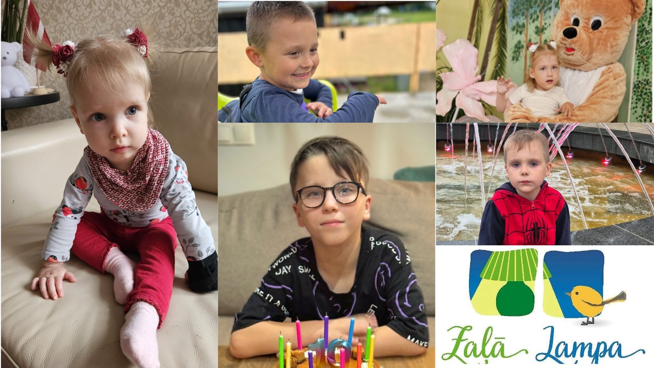 “Zaļā lampa” ir apkopojusi 2025. gada rezultātus – kam ir izdevies palīdzēt